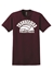 Adult & Youth Short Sleeve Ultra Cotton Volleyball - bvs-2000-maroon-PRNT - volleyball