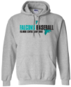 Adult & Youth Hooded Sweatshirt Hooded Sweatshirt