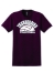 Adult & Youth Short Sleeve Ultra Cotton Volleyball - bvs-2000-maroon-PRNT - volleyball