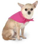 Doggie Bandana BSCAR - Only available until June 30 Doggie Bandana BSCAR