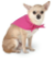 Doggie Bandana BSCAR - Only available until June 30 - BSCAR-SS3905