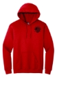 Heavy Blend Youth Hooded Sweatshirt  