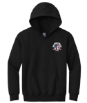 Heavy Blend Youth Hooded Sweatshirt   